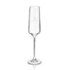 Reserve European Crystal Champagne Flutes By Viski®