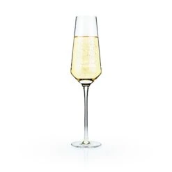 Raye Crystal Champagne Flutes